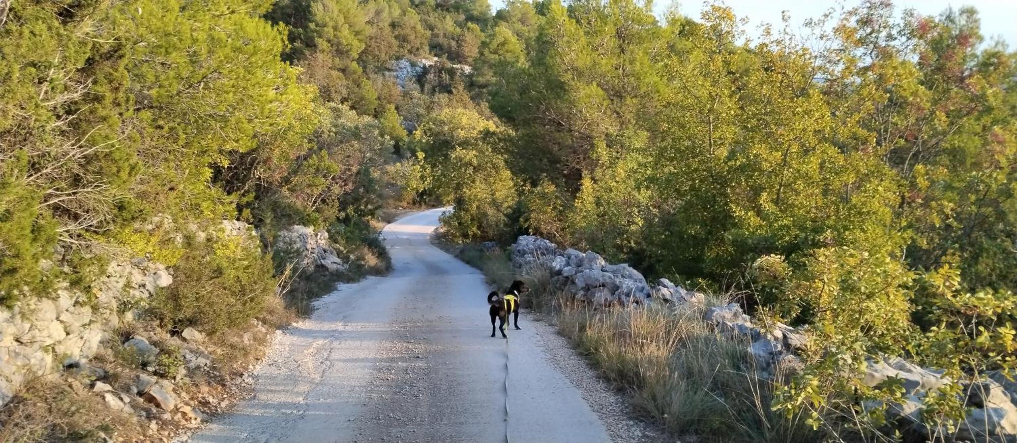 Kuca Mali Raj - Little Paradise Šibenik Екстериор снимка